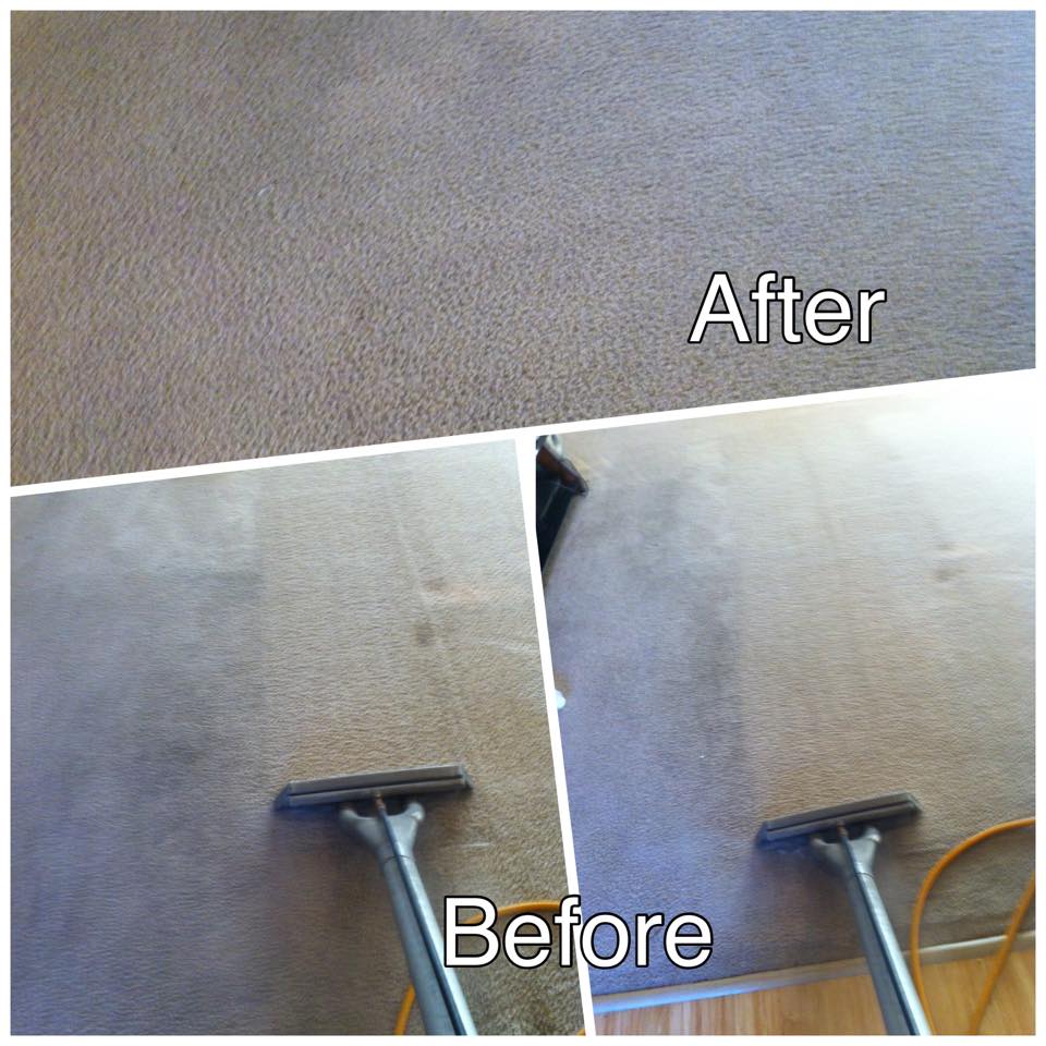 Photo of dirty carpet before and after cleaning. All Surfaces Carpet Cleaning Columbia MO.