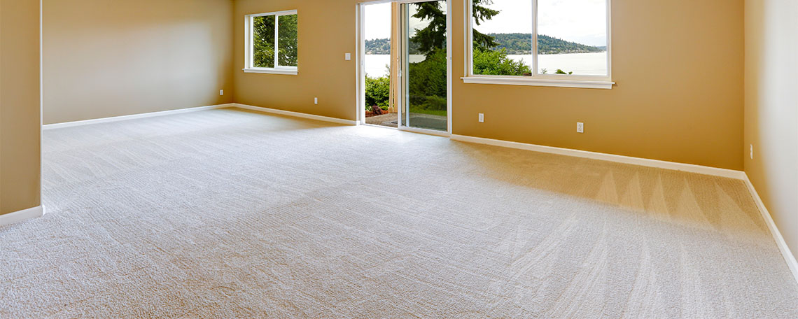 Winnetka Carpet Cleaning