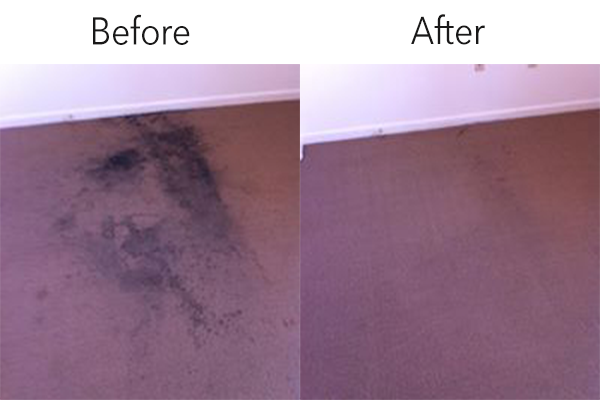 Stained carpet before and after All Surfaces Carpet Cleaning restored it.
